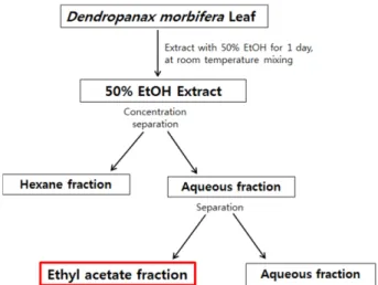 Fig. 1. Scheme for preparation of the fractions obtained from D. morbifera leaf. 