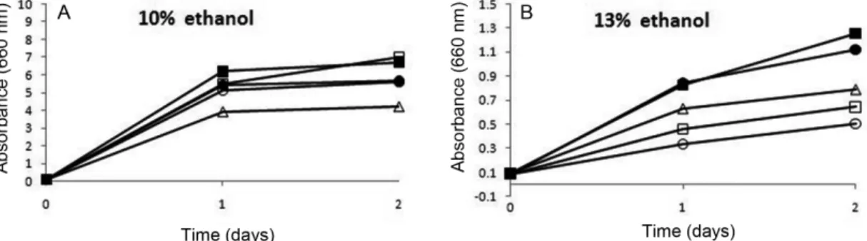Fig. 1. Growth of selected five lactic acid bacteria on MRS broth containing 10% (A) and 13% ethanol (B)