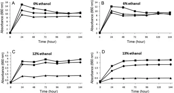Fig. 3. Comparison of alcohol-tolerance of Pediococcus acidilactici DSM 20284 ( ▲ ), K3  ( ■ ), and S1 ( ● ) according to various ethanol concentration (A, 0%; B, 6%; C, 12%; D, 13% v/v)