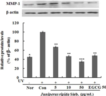 Fig. 7. MMP-1 mRNA expression rate of ethanol from Junipe- Junipe-rus rigida Sieb. extracts on fibroblast cell (CCD-986sk)