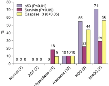 Table 2. The  correlation  between  cyclin  D1  and  p27 Kip1   expres-  sion  Cyclin  D1  expression Negative  (n＝36) Positive  (n＝17) p27 Kip1  expression   Negative  (n＝30)   Positive  (n＝23) 17/30  (57%)18/23  (78%) 13/30  (43%)  5/23  (22%) P＝0.17P＝4F