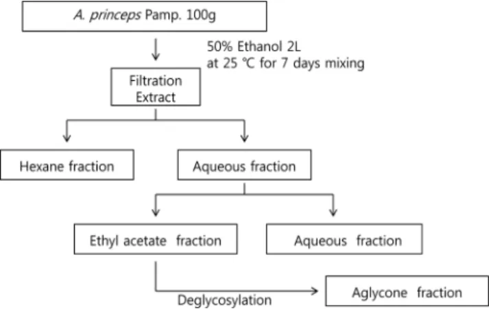 Fig. 1. Scheme for preparation of compounds from  A. princeps Pamp..
