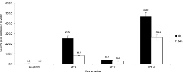 Fig. 3 Expression of the wild type Dongjin and OsOPT10 transgenic plants by qRT-PCR after heat stress for 6 and 24 h