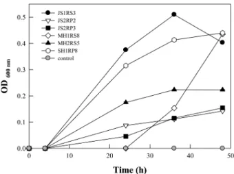 Fig. 2. ACC deaminase activity of the representative PGPR.