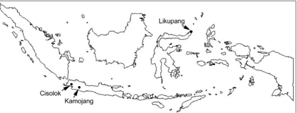Fig. 1. Map of Indonesia showing the sampling sites (colosed circles) for analysis of microbial diversity in this study