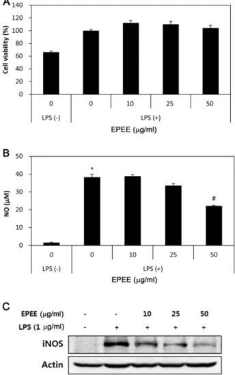 Fig. 3. Effect of EPEE on the phosphorylation of MAPKs and PI3K/Akt signaling molecules in RAW 264.7 cells