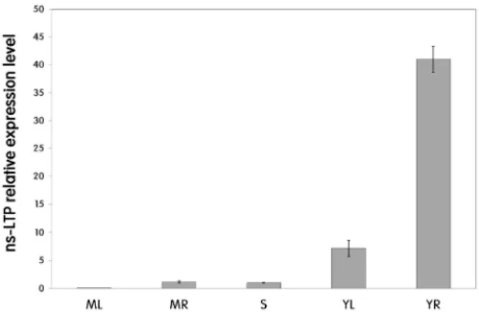 Fig. 1 Expression pattern of ns-LTP in poplar. Transcript level  of ns-LTP gene was measured in various tissues using quantitative real time PCR