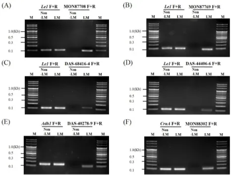 Fig. 3 Establishment of PCR amplification for LMO events. PCR analysis were performed by using the endogenous Lectin 1  (Le1)  and event-specific gene primers
