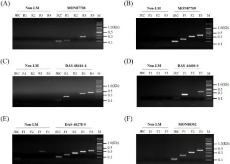 Fig. 6 Amplification of event-specific genes using newly designed primers of six LM events