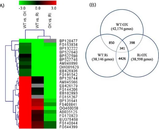 Fig. 1 Microarray investigation of various genes in WT vs. NtROS2a overexpression transgenic line OX1, WT vs