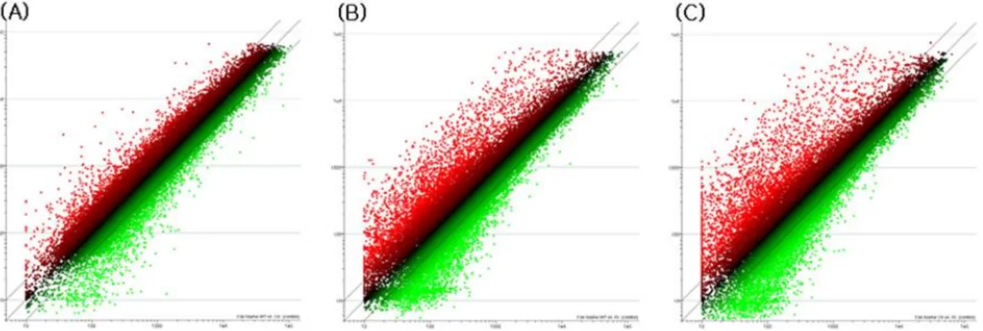 Fig. 2 Global expression pattern. (A) WT vs. overexpression of NtROS2a, (B) WT vs. RNAi of NtROS2a, (C) overexpression of  NtROS2a vs
