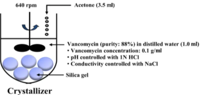 Fig. 1. Schematic diagram of increased surface area crystal- crystal-lization using silica gel for purification of vancomycin