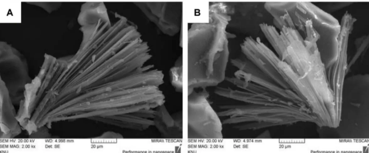 Fig. 4. Video microscope images of vancomycin crystals obtained at various amounts of silica gel 4