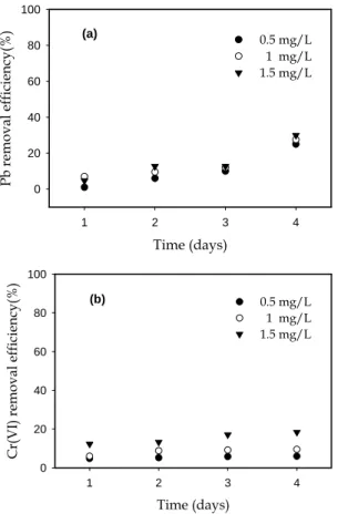 Fig.  3.  Removal  efficiencies  of  Pb(a)  and  Cr(VI)(b)  for  the              mixture  of  Pb  and  Cr(VI)  in  the  culture  medium.