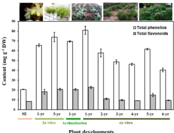Fig. 3 Changes in bioactive compound content during acclimatization periods of Rosa rugosa