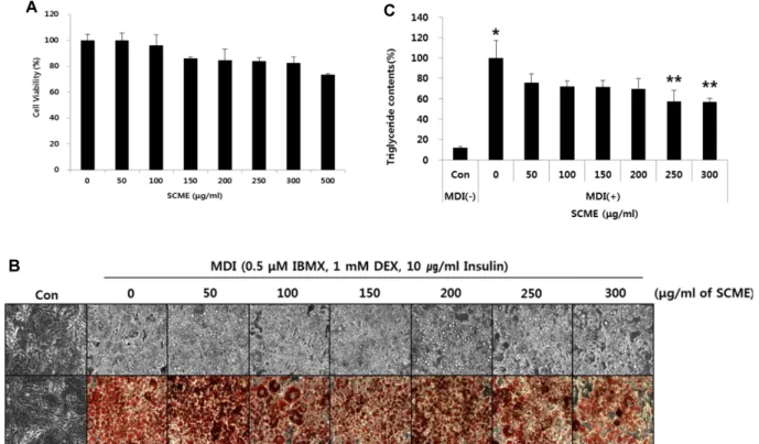 Fig. 3. Effect of  Smilax china methanol extract (SCME) on adipogenesis related gene and protein expressions
