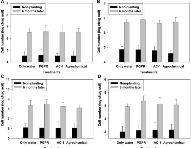 Fig. 2. The microbial diversity of dominant nitrogen cycling bacteria in the red pepper farming field