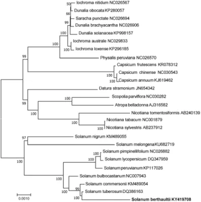 Fig. 3 Maximum-likelihood phylogenetic tree of S. berthaultii and 25 species belonging to the Solanaceae family based on  protein-coding sequences of each chloroplast genome