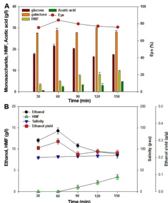 Fig. 3. Effect of thermal acid hydrolysis using various ther- ther-mal hydrolysis durations on (A) pretreatment and  saccha-rification and (B) ethanol production   using C
