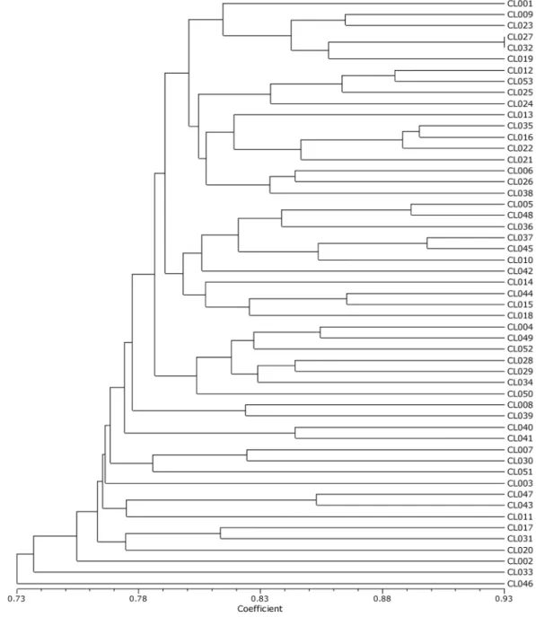 Fig. 1 Phylogenetic tree of the 53  Codonopsis lanceolata accessions created using UPGMA cluster analysis0.5