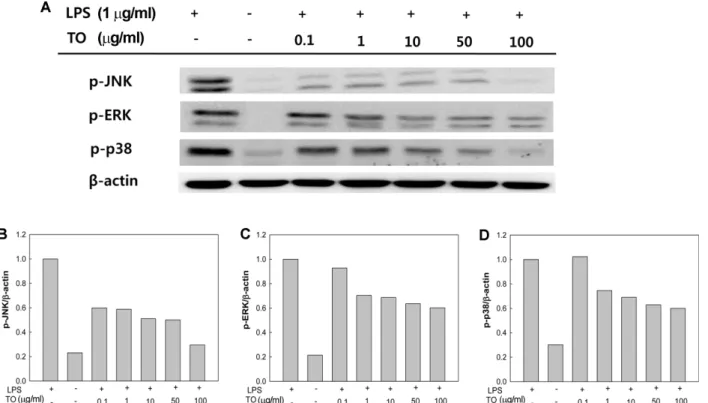 Fig. 4. Effect of tuna oil (TO) on western blot analysis of p-JNK, p-ERK, and p-p38 protein expression on LPS-induced inflam- inflam-matory responses in RAW 264.7 cells, and (B-D) relative unit densitometries of such an expression.