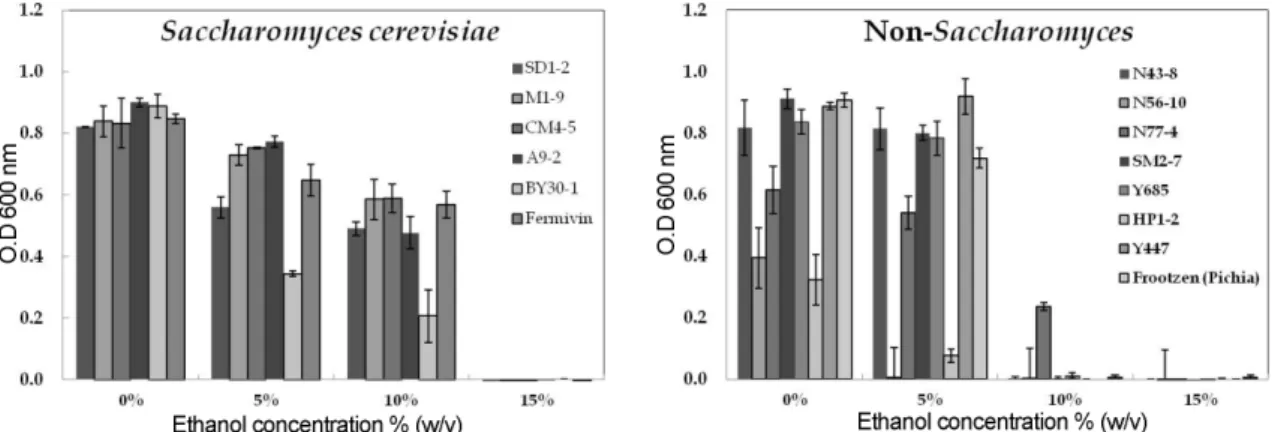 Fig. 4. Ethanol production by selected wild yeast strains and commercial yeasts. The selected wild yeast strains were grown static culture on 100 ml of YPD broth containing 25% glucose in 500 ml flask at 30 o C for 48 h