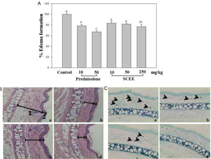 Fig. 4. SCEE-mediated inhibition of croton oil-induced mouse ear edema (A). Photomicrographs of transverse sections of mice ears sensitized with topical application of 50 mg/ml croton oil in acetone (a-c) or acetone alone (d, non-inflamed), stained with  h