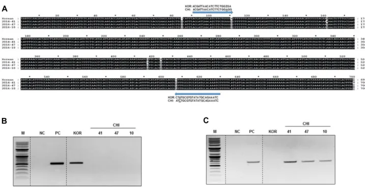 Fig. 3 Sequence alignment and products of ARMS-PCR using the MatK (GenBank accession number JF317421.1) chloroplast  intergenic regions in various ecotypes of Cudrania tricuspidata Bureau