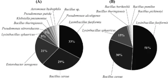 Fig. 1. Identification and proportion of isolated microorganisms from the intestinal tract of earthworm