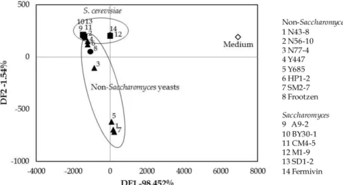 Fig. 1. Discriminant function analysis (DFA) of the obtained data from electronic nose date for the flavor patterns of alcohol fermentation with different wild yeasts and commercial yeasts