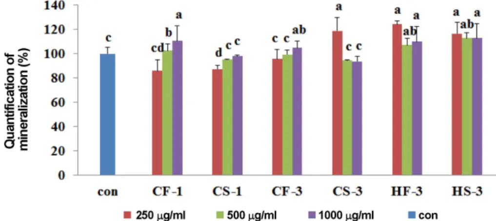 Fig. 2. Quantification of mineralization on water extracts of Yeonsan ogolgye in MG-63 cells during differentiation 14 days