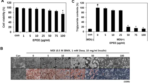 Fig. 3 의 결과에서와 같이  MDI  처리에 의해 지방세포 분화 가 일어난 대조군에서는 세 인자의 유전자 및 단백질 발현 이 유의적으로 증가되었으며 시료의 처리에 의해 농도의존 적인 감소를 보여  50 μ g/ml 의 처리에서는 모든 인자의 유 전자 및 단백질 발현이 미분화 대조군과 유사한 정도의 낮 은 발현을 보였다 