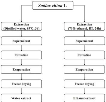 Fig. 1. The procedure for extraction from  Smilax china L..