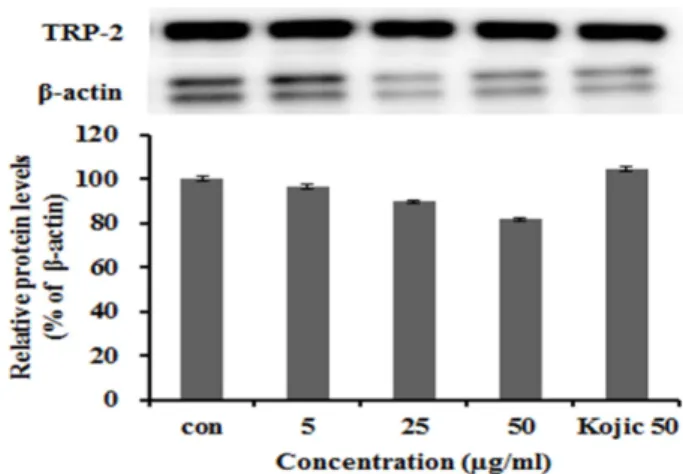 Fig. 4 − 7 과 같이 청미래 덩굴 뿌리 에탄올 추출물을 농도별
