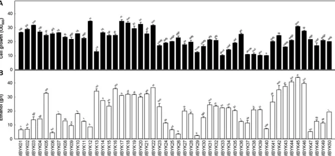 Fig. 2. Profiles of cell growth ( ● ), maltose utilization ( ▲ ), and ethanol production ( ○ ) in shake flasks cultivation of  S.