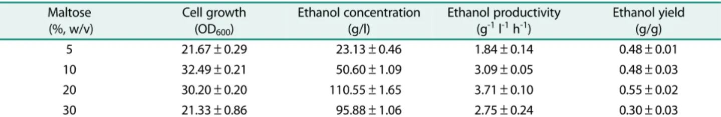 Table 2. Effects of initial maltose concentration on cell growth and ethanol production by  S
