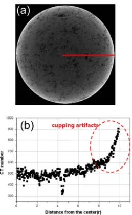 Fig. 1. General X-ray CT scan image and CT number  profiles of a rock sample. (a) X-ray CT slice image
