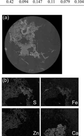 Fig. 2. SEM analysis results of the skarn ore. (a)  SEM-BSE image, (b) X-ray elemental maps.