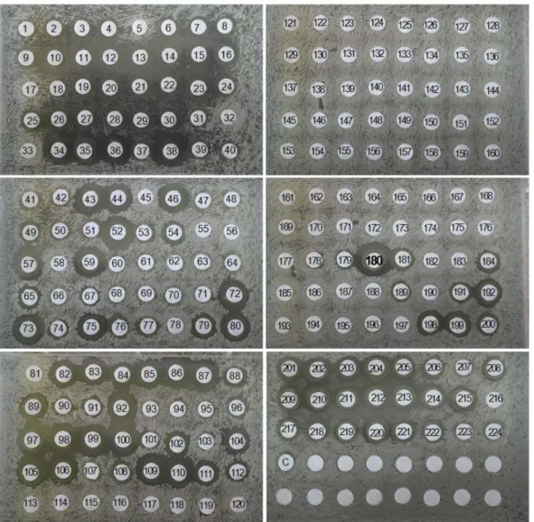Fig. 1 . Antibacterial activity of lactic acid bacteria isolated from fermented foods on the growth of S
