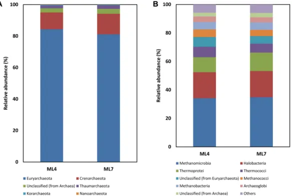 Fig. 2. Relative abundance of phylum (A) and class levels (B) in archaeal community based on OTUs distribution in ML4 and ML7 Arctic soil samples