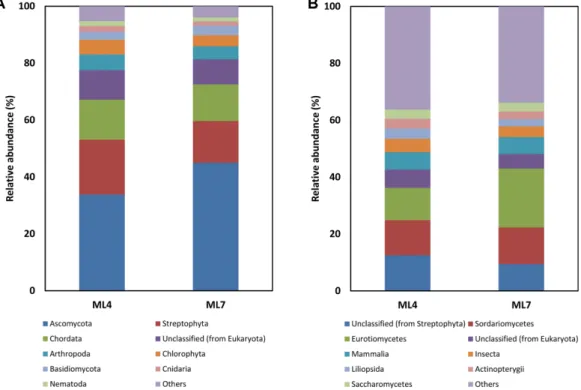 Fig. 3. Relative abundance of phylum (A) and class levels (B) in eukaryotic community based on OTUs distribution in ML4 and ML7 Arctic soil samples