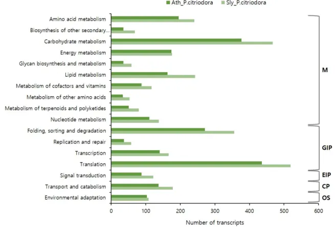 Fig. 3 KEGG classification of the assembled P. citriodora transcripts. A bar chart showing the distribution of P