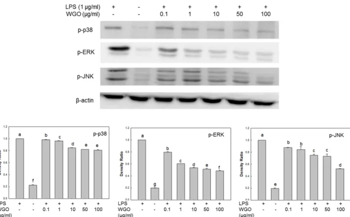 Fig. 6. Inhibition of wheat germ oil (WGO) against croton oil- oil-induced mouse ear edema