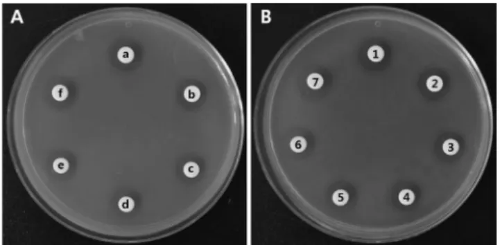 Fig. 2. Effects of pH (A) and heat treatment (B) on the antibac- antibac-terial activity of crude bacteriocin produced by  L