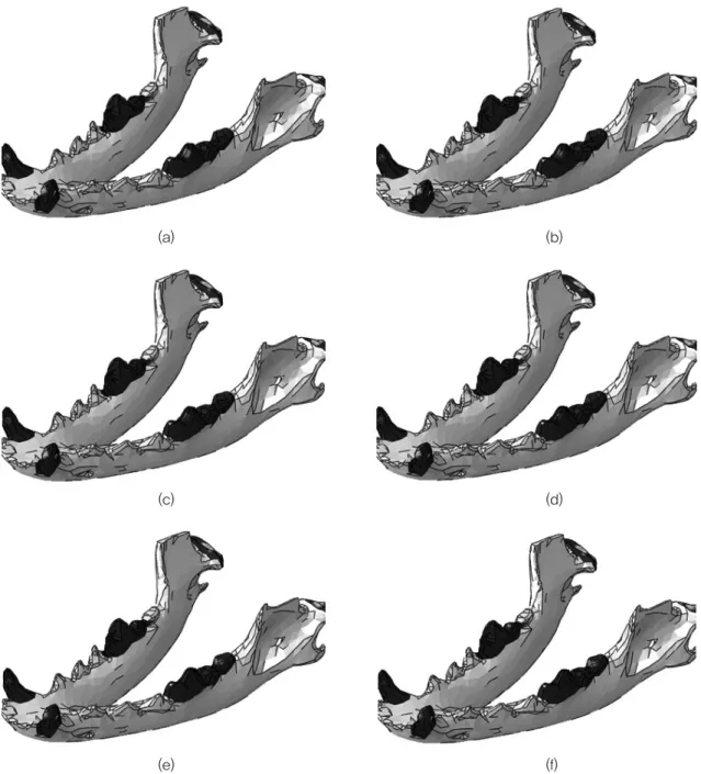 Figure 6. Mandibular of Finite element analysis, a;100N, b;200N, c;300N, d;500N, e;1,000N, f;1,500N.