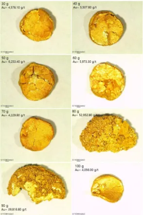 Fig. 14. Stereoscopic microscope image of gold par-  ticles from solid-residue using lead-fire assay