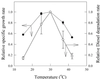 Fig. 2. Effects diesel concentration on the specific growth rate and diesel degradation rate of SD8