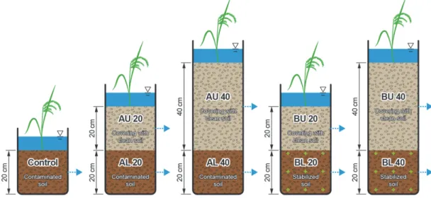 Fig. 1. The schematic diagram of column experiment.
