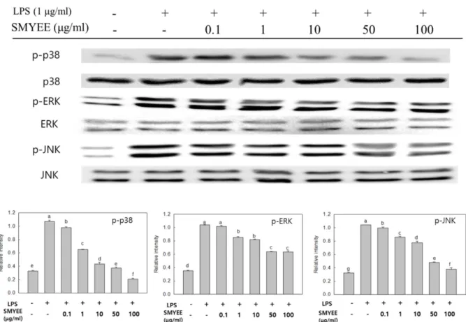Fig. 5. Effect of Sargassum miyabei Yendo ethanol extract on MAPKs expression in RAW 246.7 cells