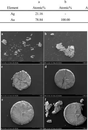 Fig. 17. SEM images of gold particles on the fire  assay after solid-residue from the microwave-nitric  acid leaching